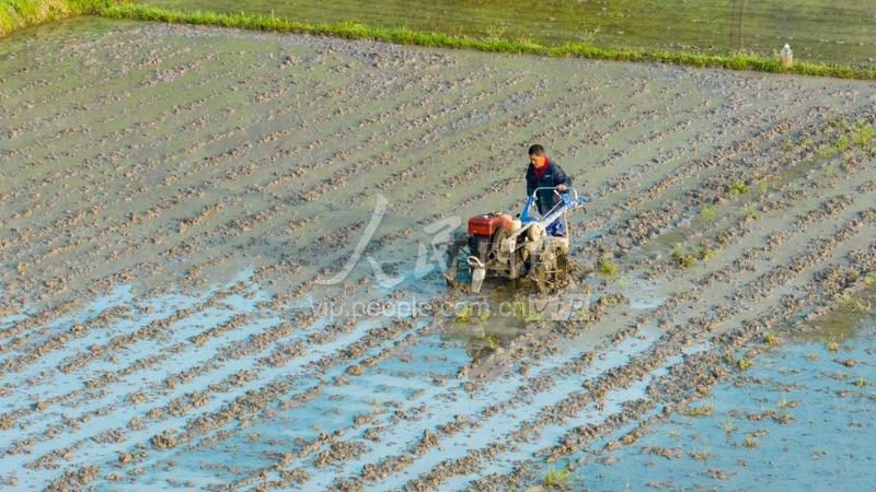 植保无人机电池寿命：如何评估与合理更换